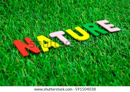 Word NATURE made from colorful wooden alphabet and laid on the artificial grass. 