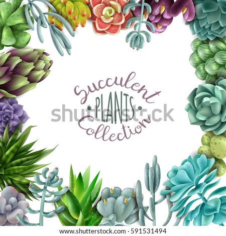 Square frame of succulents. Succulent plants collection. Vector illustration