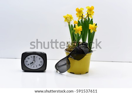 Abstract composition of yellow daffodils. Isolated on white background.