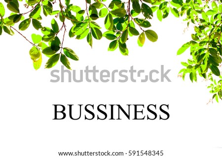 Write bussiness on green leves isolated background