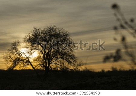 sunset in nature