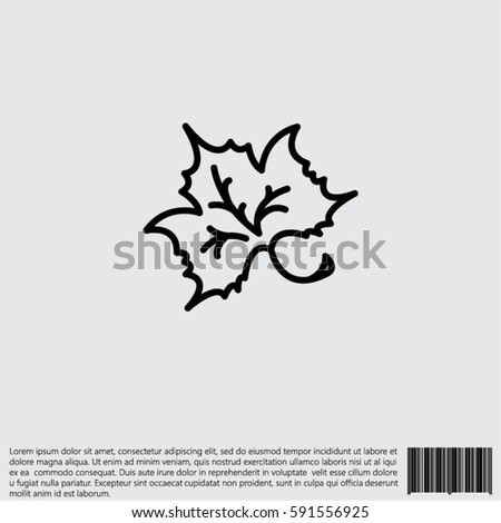 Web line icon. Maple leaf, tree leaf