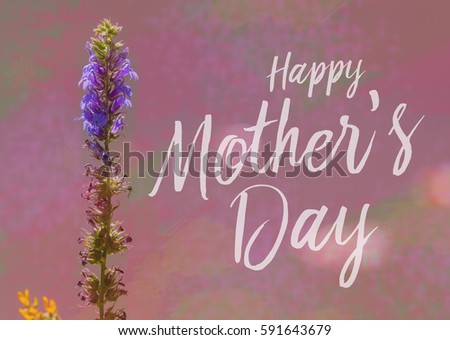 Happy Mothers Day Card with calligraphy type, pink background and flower