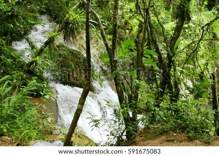 waterfalls in the jungle