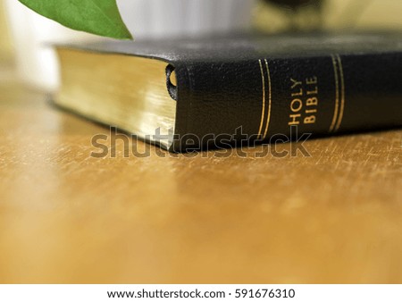 Holy bible lying on wooden table beside plant, golden glow background, Christian concept