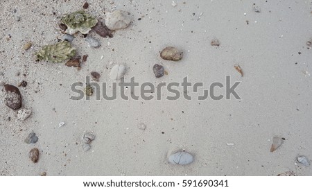 sand and the beach