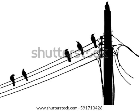 Silhouette of a crow on pillar electric line on white background, Black and white image