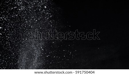powder explosion on black background. Colored cloud. Colorful dust explode. Paint Holi.