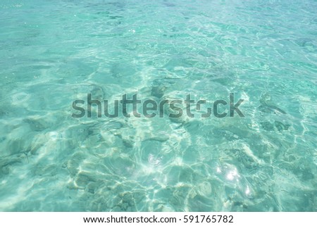 clean blue sea and sunlight reflex.