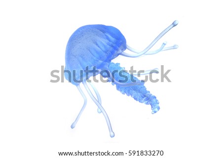 blue jellyfish isolated on the white background Royalty-Free Stock Photo #591833270