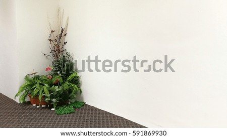 Green decoration in the office