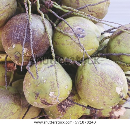 group of green young tender Coconuts on the floor