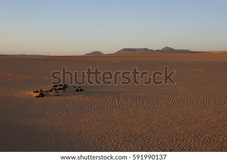 Slope hill sand on yellow dunes on blue sky background. Sunrise, morning. Sustainable ecosystem. Canary island, Fuerteventura