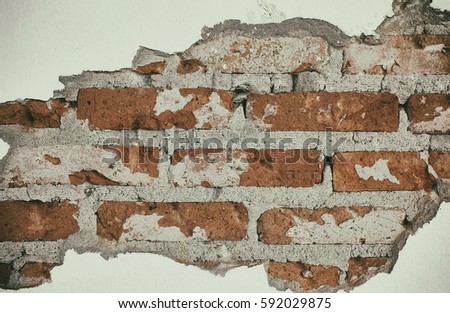 brick wall. background