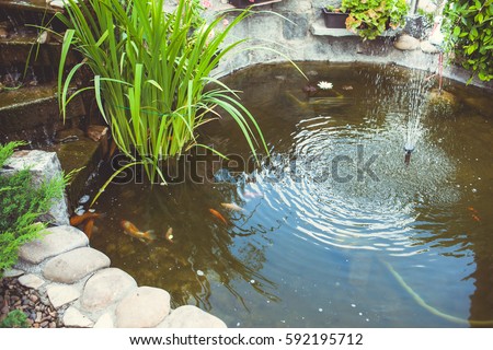 Fountain with fish in the yard Royalty-Free Stock Photo #592195712