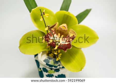 yellow orchid flower arrangement