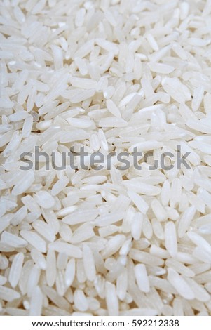 Rice background. Rice texture basmati long pattern, white raw uncooked rice closeup
