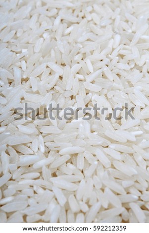 Rice background. Rice texture basmati long pattern, white raw uncooked rice closeup
