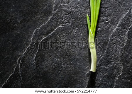 A bunch of green onion leaves on a background of black slate. Plenty of space for text.