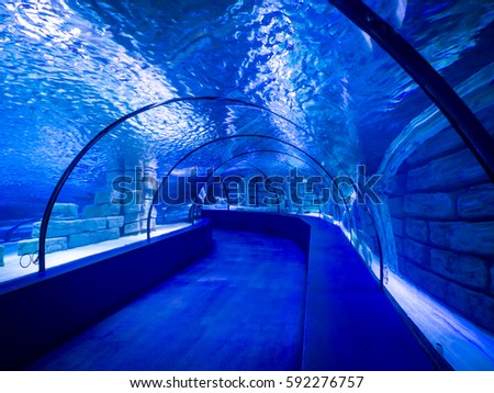Colorful saltwater fish in Antalya aquarium, Turkey Royalty-Free Stock Photo #592276757