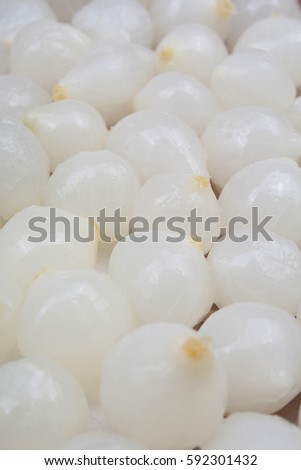 White shallots texture. Shallot onion pattern.
