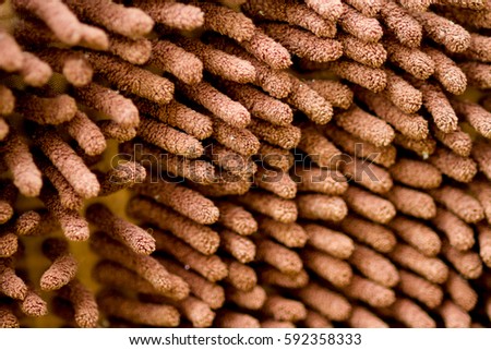 doormat close up abstract background