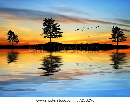 Lake trees colors