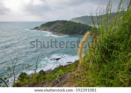 Green grass and blur flower grass  on the cliff and sea with windy flow at Laem Phromthep,Cape, Andaman sea with blue sky cloud evening, Phuket, Southern of Thailand
