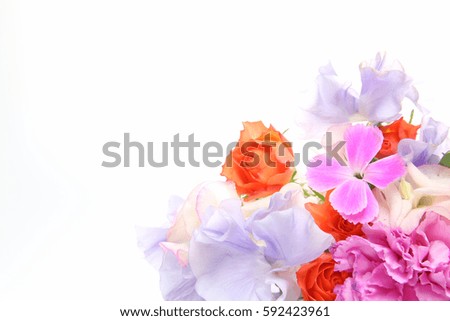 Background picture of various kind of flowers