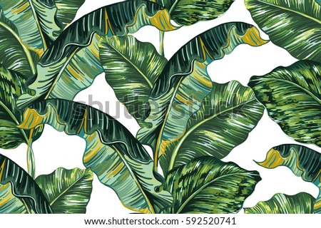 Tropical palm leaves, jungle leaf seamless vector floral pattern background