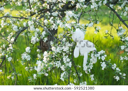 plush bunny hanging from an blooming apple tree