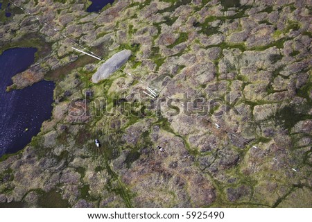 Aerial photos of arctic tundra wetlands for backgrounds and textures