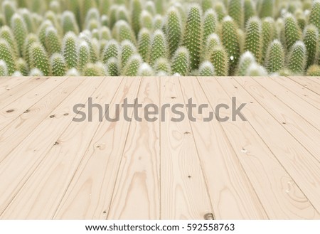 Empty top wooden shelves and cactus background. For product display