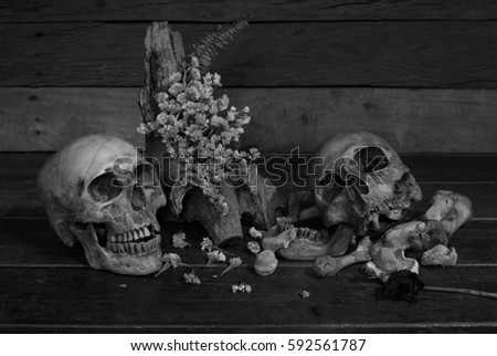 Skulls with dry flower and candle light on old wooden table in dark night / Still life style Adjustment  black and white image
