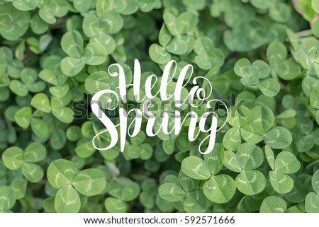 spring grass background,hello spring. Royalty-Free Stock Photo #592571666