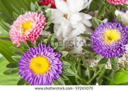 Bouquet of multi-coloured summer flowers