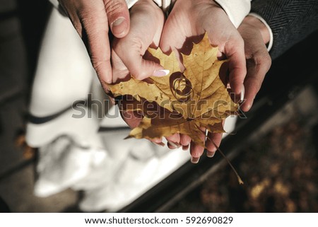 Golden wedding rings on the dry leaves