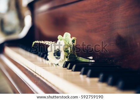 Wedding day concept. Boutonniere flower for groom on the vintage piano keys. 