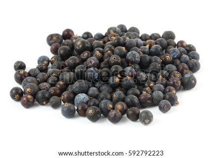 Dried berries of common juniper (Juniperus communis). Juniper berries (Juniperi fructus) have long been used as medicine by many cultures including the Navajo people. Royalty-Free Stock Photo #592792223