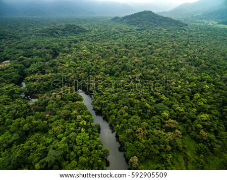 Aerial View of River in Rainforest, Latin America Royalty-Free Stock Photo #592905509