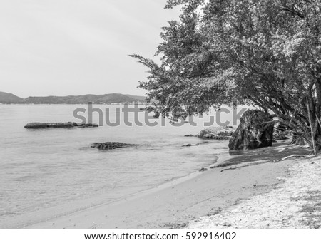 nature sand beach in Thailand for travel background black and white