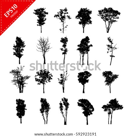 Set of abstract trees silhouettes on white background with a realistic,black tree
