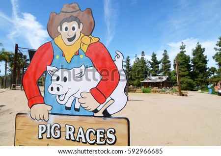 Pig Races Sign