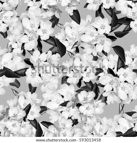 Apple blossom branch of flowers black and white. Traditional ornate spring flowers sakura pattern seamless. White flower buds on a tree. Sacura collage artistic illustration.