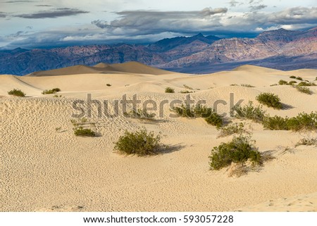 Amazing landscape photography of Mesquite Flat Sand Dunes, Death Valley National Park
