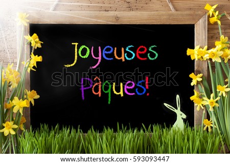 Sunny Narcissus, Bunny, Colorful Joyeuses Paques Means Happy Easter