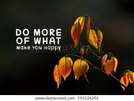 MOTIVATING QUOTE ON NATURE BACKGROUND. DO MORE WHAT MAKES YOU HAPPY. Stock Photos and Images - Avopix.com