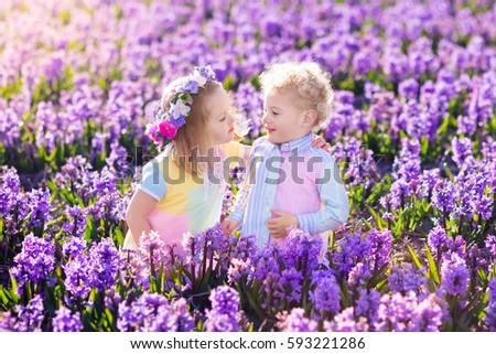 Kids gardening. Children play outdoors in hyacinths meadow. Little girl and boy, brother and sister, work in the garden, planting hyacinth flowers, watering hyacinth flower bed. Family fun in summer.