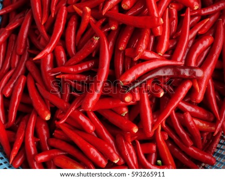 Red Chillies Background,Selective focus 