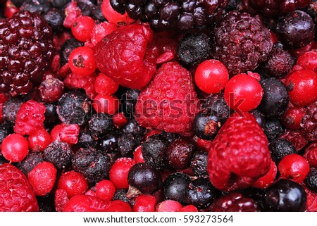 Fruits from wood. Frozen mixed berries as background. Blueberries,raspberries black berries and currant mulberry texture pattern. Stunning fruit berries
